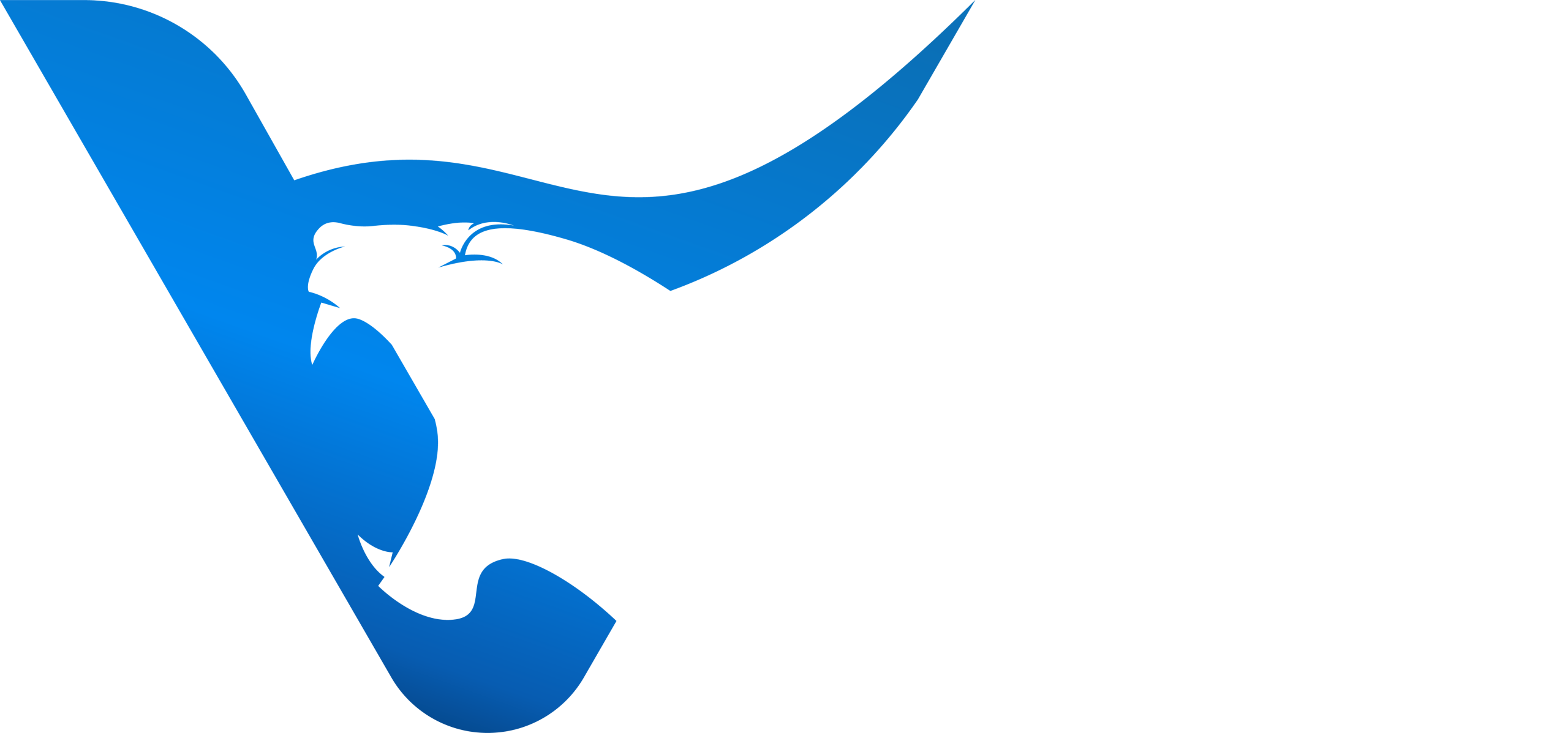 Vyrce